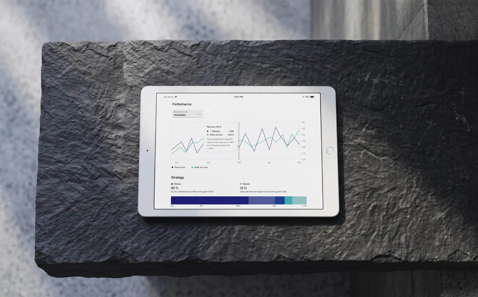 Advinans portfolio view on a tablet
